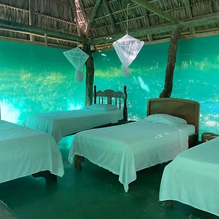 Hotel Mal Pais Surf Camp à Playa Santa Teresa  Extérieur photo