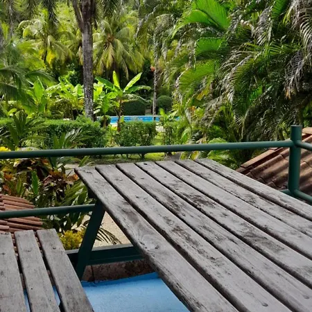 Hotel Mal Pais Surf Camp à Playa Santa Teresa  Extérieur photo