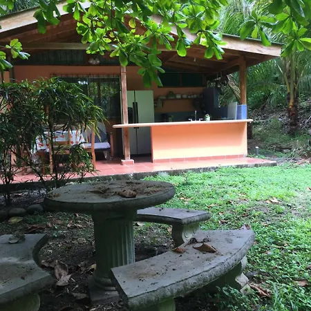 Hotel Mal Pais Surf Camp à Playa Santa Teresa  Extérieur photo