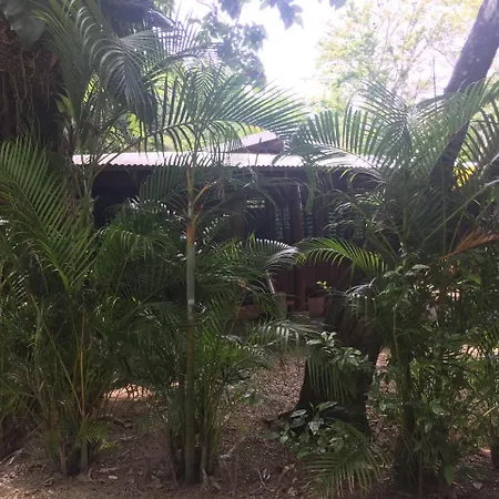 Hotel Mal Pais Surf Camp à Playa Santa Teresa  Extérieur photo